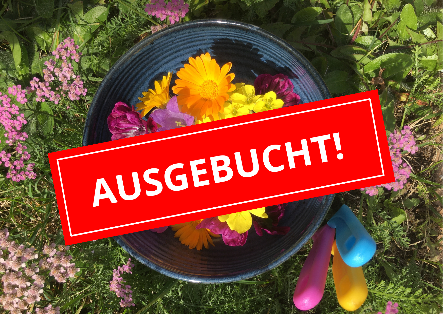 Wildkräuter Workshop ausgebucht