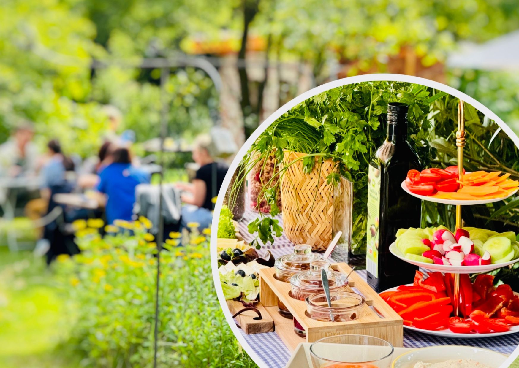 Frühstück unterm Walnussbaum1